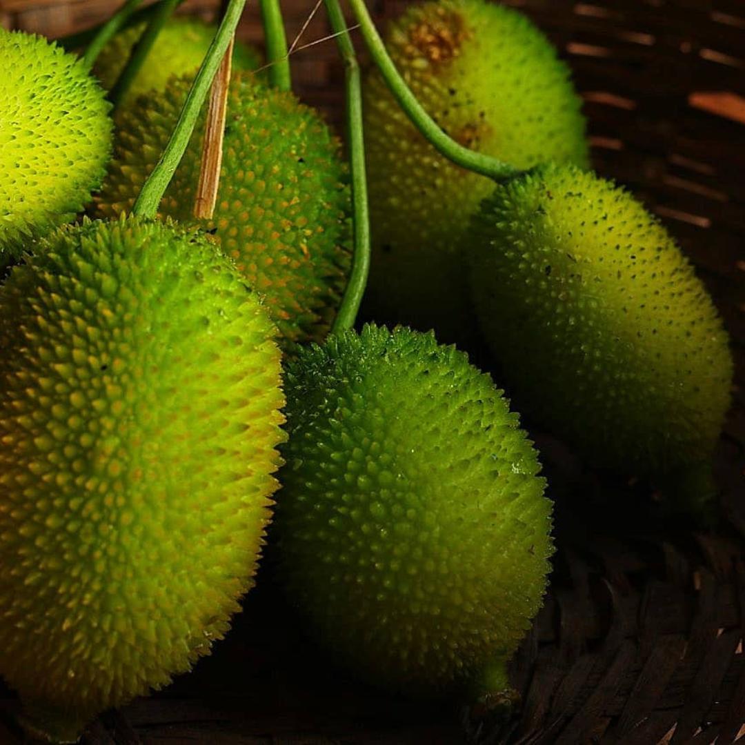 Bhat kerela (ভাট কেৰেলা)